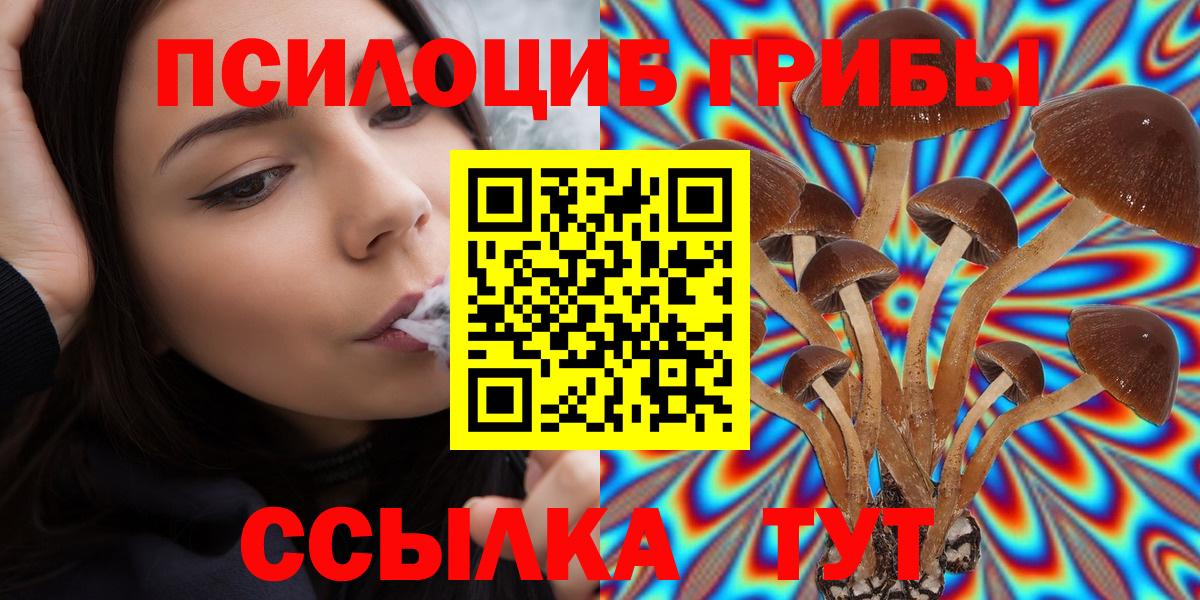 Галлюциногенные грибы Cubensis Кропоткин