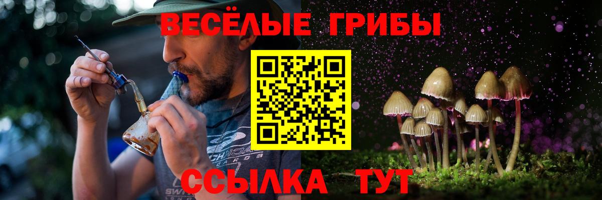 Кропоткин  Галлюциногенные грибы Magic Shrooms  Вход с VPN  Галлюциногенные грибы прущие грибы 